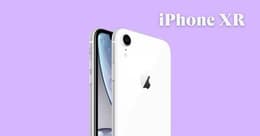 iPhone XR nuovo e iPhone XR ricondizionato: ovviamente scegli il ricondizionato!