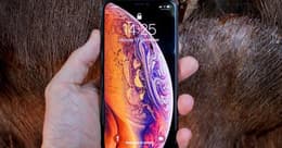 Recensione dell'iPhone XS