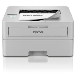 Brother HLL2865DW Laser monocromatico